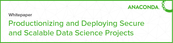 [Whitepaper] Productionizing & Deploying Data Science Projects 
